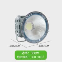 亚明照明-超亮300w LED射灯+户外塔吊灯J工地射灯投光灯防水超亮户外探照灯具