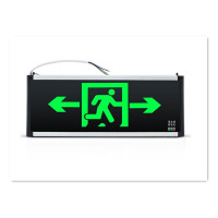 大华(alhua) Z 安全出口消防应急灯指示灯套组/左出口/右出口