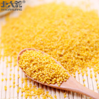 北大荒 有机杂粮小米 五谷杂粮月子米 东北黄小米400g