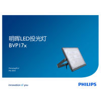 飞利浦 LED投光灯BVP171 30W 3000K黄光