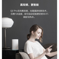 华为(HUAWEI) 路由器 Q2 Pro 单个装 宁选