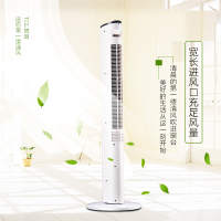 TCL 电风扇 TFZ10-19CRDL
