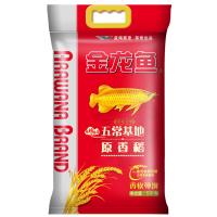金龙鱼原香稻