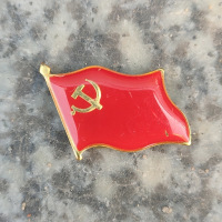 金穗慧采 6269 党员胸章国徽共青团徽胸 党旗带字党徽 10枚装