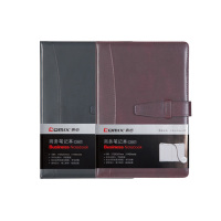 齐心(COMIX) C5807皮面记事本18K/114张日记本 记事本 笔记本子 记录本 商务记事本 颜色随机