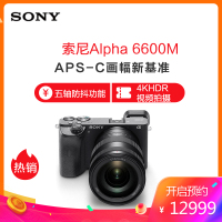 Alpha 6600 APS-C画幅旅行便携套装(黑色 SEL18135镜头 ILCE-6600M/A6600M/α6600m)