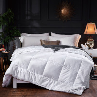 天琴 蚕丝羊毛子母被 箱包2*2.3m (100条起订)