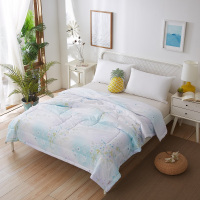 恒源祥 清新夏被 TSB2011.