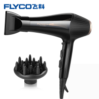 飞科 电吹风 FH6101