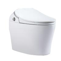 帝王洁具DS-F13217乐享智能坐便器