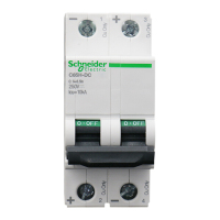 施耐德 微型断路器 A9N22073 C4A