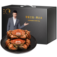 蟹太太大闸蟹金秋蟹礼 公3.2-3.5两 母2.2-2.5两 四对装 礼盒