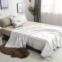 金丝莉(kintheri) JB-1092天蚕美肤被 150*200cm