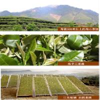 素言茶坊白茶建盏礼盒