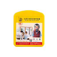 神龙 灭火器搭配用 过滤式消防自救呼吸器 火灾逃生防烟面具逃生面罩硅胶面罩 TZL30 儿童版 消防器材