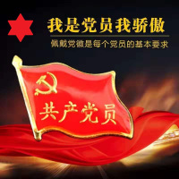 党徽为人名服务共产党员胸章强磁铁团徽10个装