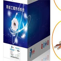 安润达 纯无氧铜超五类网线纯铜宽带网络线家用监控双绞线工程300米