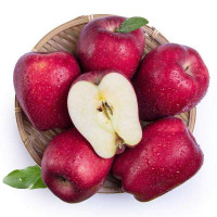 甘肃礼县花牛苹果净重5斤