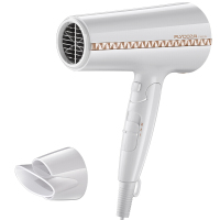 飞科 电吹风 FH6228