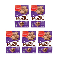 马奇新新妙乐榛子巧克力味夹心威化饼干90g*5 ZX