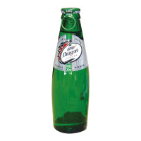 健龙 精装气泡水 200ml 玻璃瓶装(24瓶/箱)50箱起订