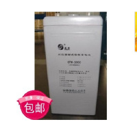 铅酸蓄电池 适用于圣阳蓄电池2V300ah免维护储能蓄电池GFM-300C直流屏电瓶(含连接线)—厂家定制