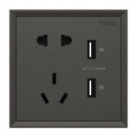 施耐德电气 C2E42610U2_BG 10A五孔带双USB充电插座 皓朗系列 深空灰色