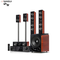 山水(SANSUI) F8 5.1音响家庭影院木质音响套装KTV卡拉OK 落地式家居音响 F8旗舰版
