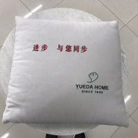 悦达家纺 纯色抱枕保暖被子多功能枕头被办公室午睡秋冬毛毯折叠居家