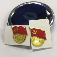 贝利祺 磁扣党徽 为人民服务党徽 胸章带字党徽 50个装 光面滑面