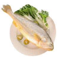 九味鲜水东海生态大黄鱼 1条装 约500g/袋