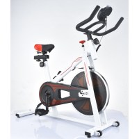 动感单车家用室内锻炼健身车健身房器材减肥脚踏运动自行车 艾可多