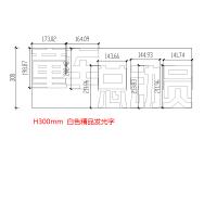 BB2B自主产品-百和仕- 童 车 总 动 员 -白色精品发光字H300