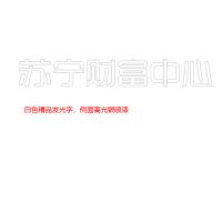 B2B自主产品-百和仕- 苏宁财富中心-白色精品发光字H250