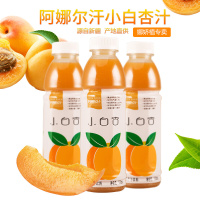 果汁饮料小白杏汁果味功能饮料500ml瓶装饮品