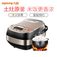 九阳 电饭煲F-40FY2