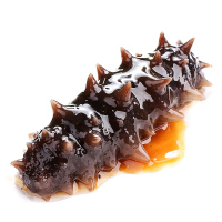 鲜盟海参即食大连野生辽刺参鲜活1500g特价速食非干货海生单个装