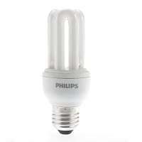 PHILIPS 飞利浦节能灯2U型E27白光5W 12支