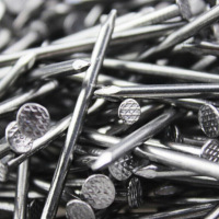 (ZD)迅捷 钉圆钉元钉洋钉紧固铁钉子 2.5寸 单位:公斤