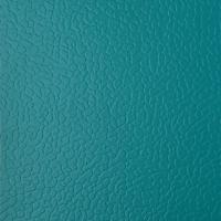 蜀天龙 健身房专用地胶