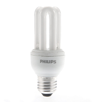 PHILIPS 飞利浦节能灯2U型E27白光11w 12支