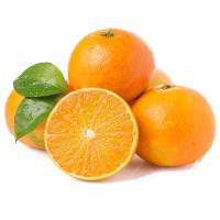 闽越老农爱媛38号果冻橙4.5~5斤装 单果果径65MM起