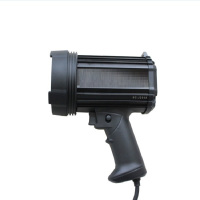 CJ100-4K手持式黑光灯365nm