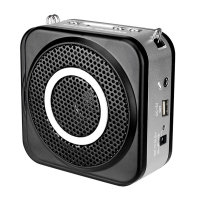 得胜(TAKSTAR) 便携式无线扩音器 E160W 喊话器 N