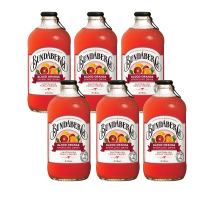 宾得宝含气水果饮料宾得宝含气血橙汁饮料375ml*6瓶ZX