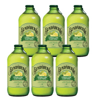 宾得宝含气水果饮料宾得宝含气青柠汁饮料375ml*6瓶ZX