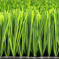 傲胜(AVG) 填充型足球草A6504165ZD10001田野绿 50mm10500针10000（单位：平方）
