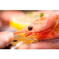 麦渔(MAIYU) 长额虾(北极甜虾)0.45KG/袋