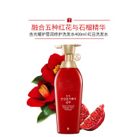 洗发水 400ml 修护损伤强韧滋养止痒控油去屑洗发水