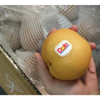 丰水梨新鲜水果5kg